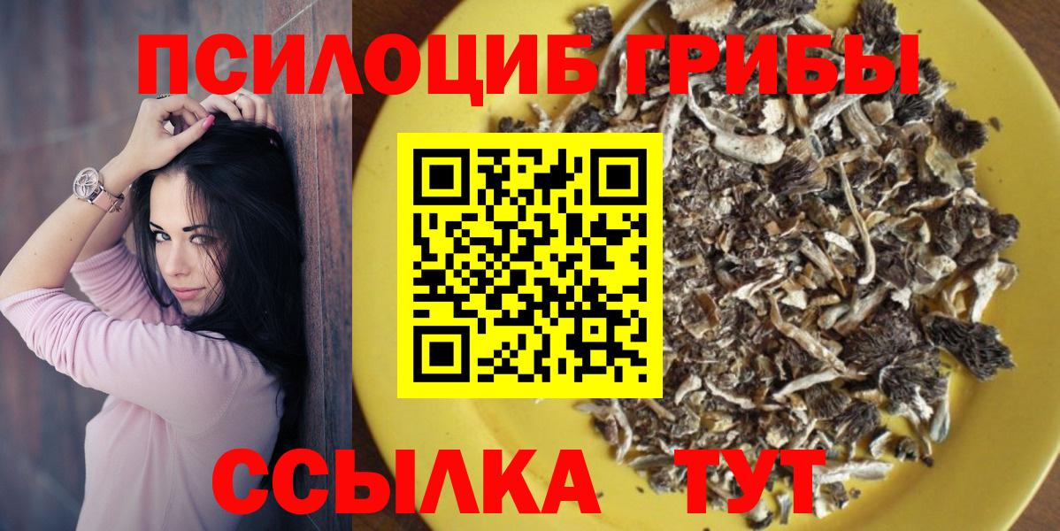 Галлюциногенные грибы Psilocybine cubensis  Вход с VPN  Биробиджан 