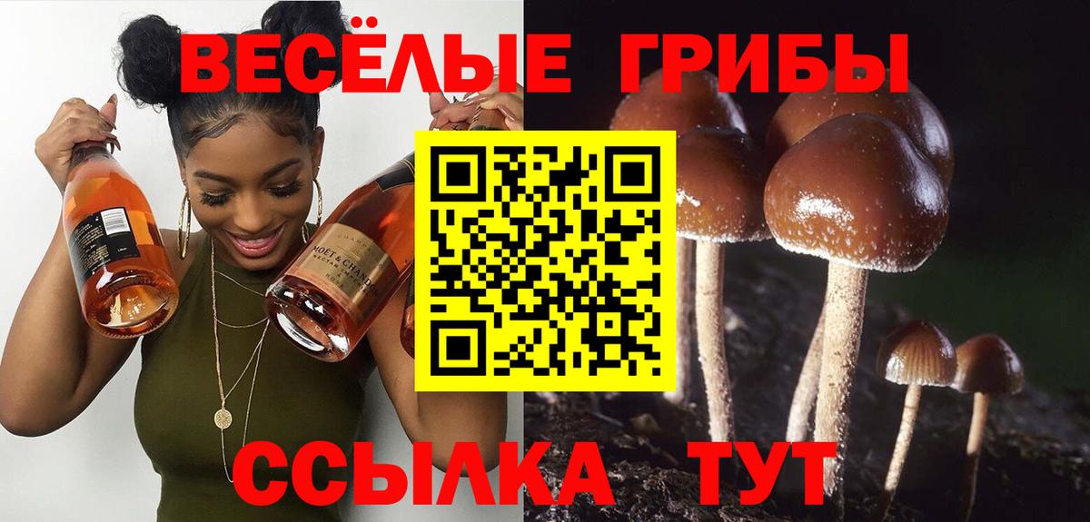 Псилоцибиновые грибы Magic Shrooms Биробиджан